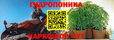 ECSTASY Новодвинск
