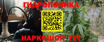 ECSTASY Новодвинск