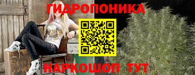 ECSTASY Новодвинск