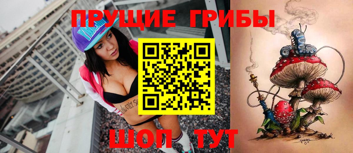 Псилоцибиновые грибы GOLDEN TEACHER  Галлюциногенные грибы мицелий  Солнечногорск  Вход с VPN 